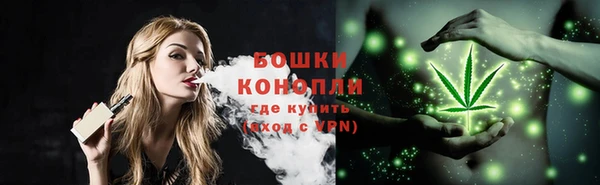 трава Усинск