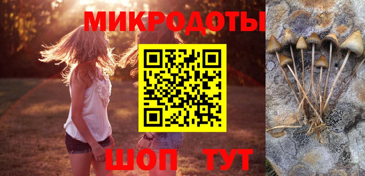 Псилоцибиновые грибы ЛСД Пенза