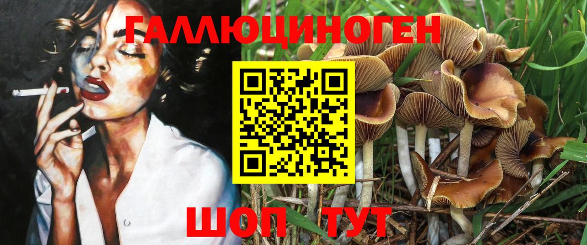 Галлюциногенные грибы GOLDEN TEACHER  Вход с VPN  Галлюциногенные грибы Cubensis  Пенза 
